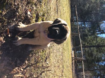 3 mos old
