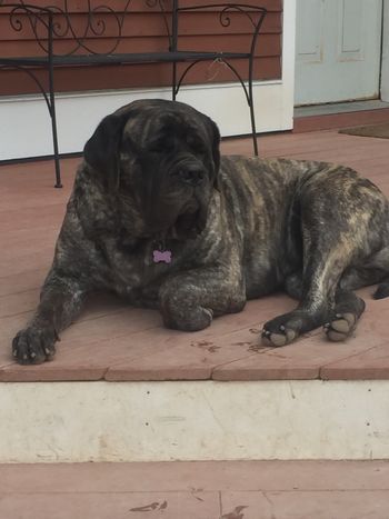 27 mos old
