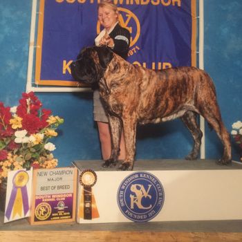 Roxy taking BOB over specials and finishing her championship title.
