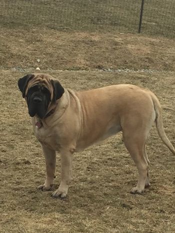 27 mos
