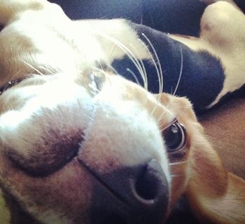 Lucy
