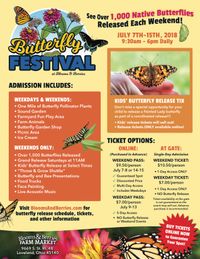 Butterfly Festival