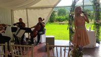 Wedding Singer