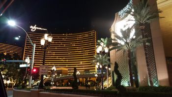 Wynn Vegas Singer
