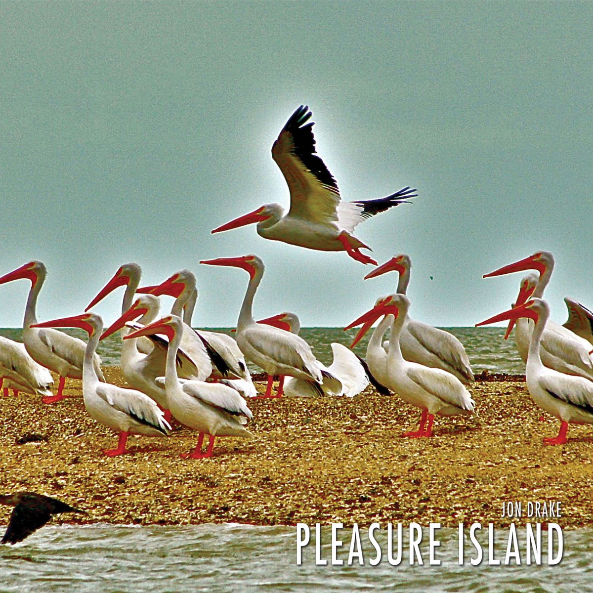 Pleasure Island - CD
