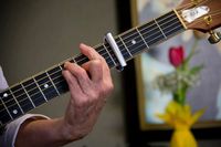 VISTA Library Summer Music Series