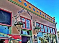 Suzanne Shea at Mystic Mocha Cafe