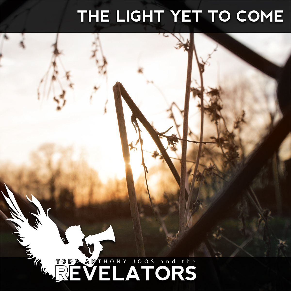 The Light Yet To Come - CD