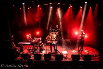 Wille & the Bandits
