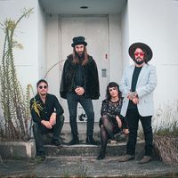 Leopard & the Diamond Sky