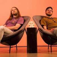The Wormholes / L﻿eopard and the Diamond Sky / Orange Doors