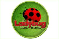 The Ladybug Festival