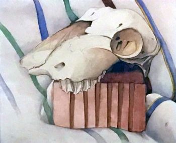 Still Life Skull Practice Work

