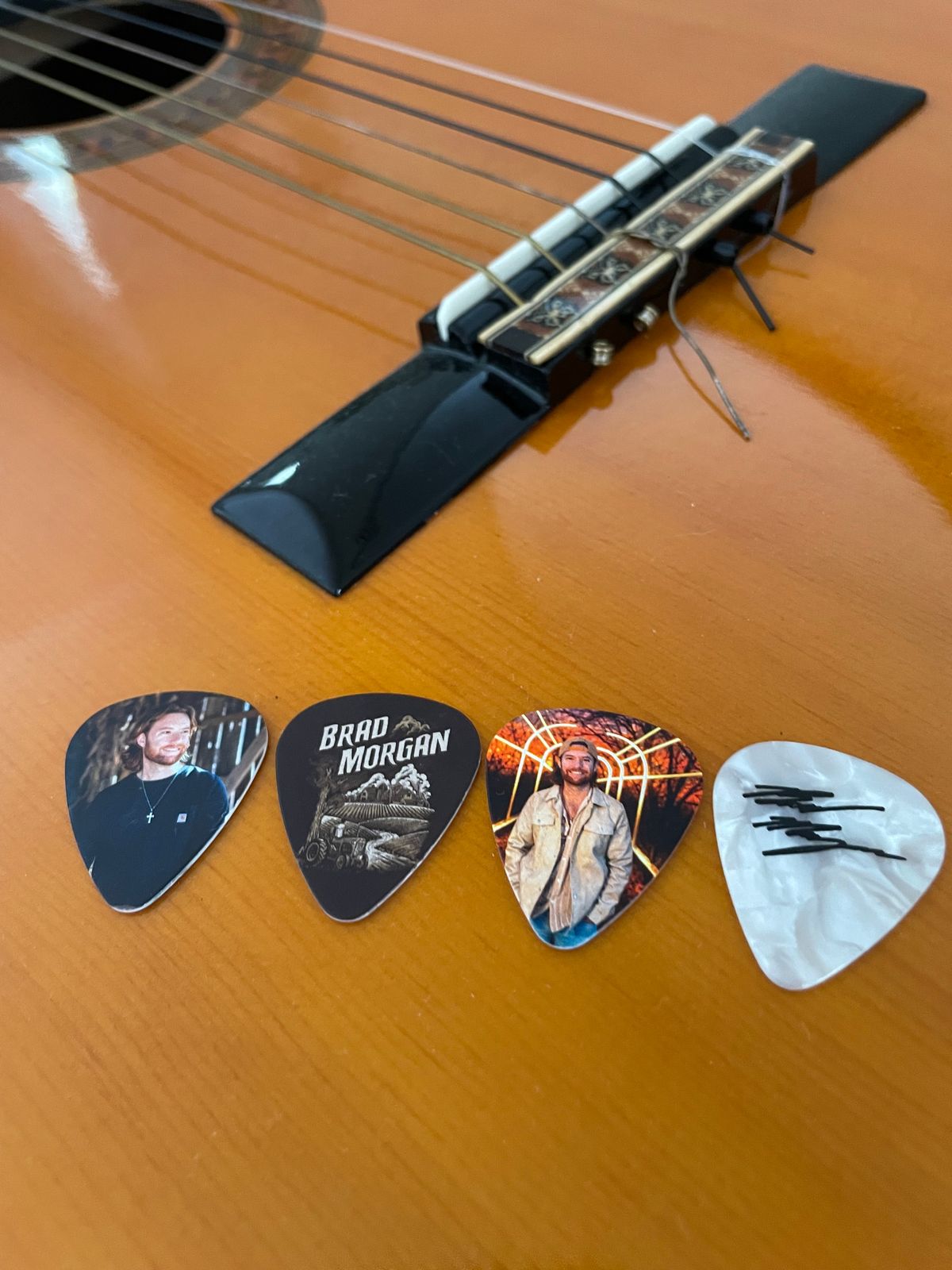 Guitar Picks