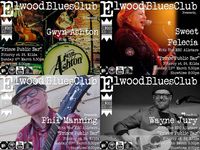 Sweet Felicia with Elwood Blues Club Allstars