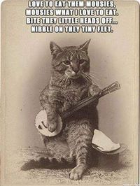 Acoustic Jam Night