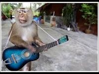 Acoustic Jam Night