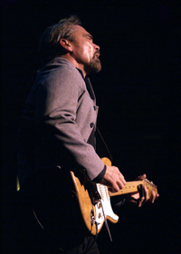 NICK VIGARINO’S MEANTOWN BLUES @ THE ARCADIAN PUBLIC HOUSE!