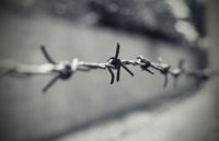 Tri-Cities Opera presents Glory Denied