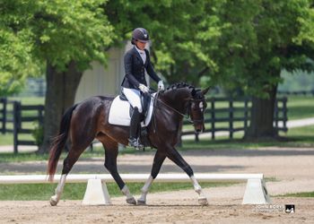 Fuerstin Tanz WS, 2021 mare by Fidertanz
