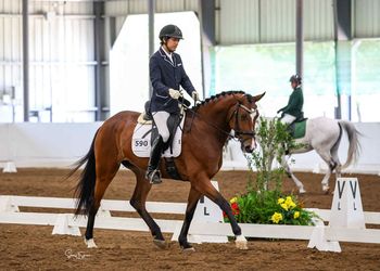Feinheit WS, 2021 mare by Furst Romancier
