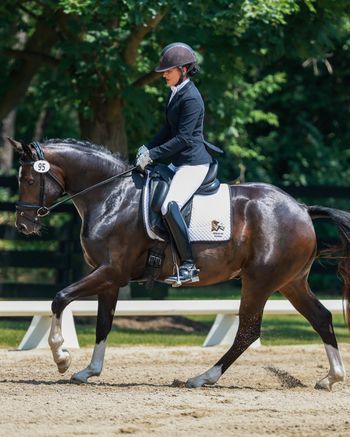 Fuerstin Tanz WS, 2021 mare by Fidertanz
