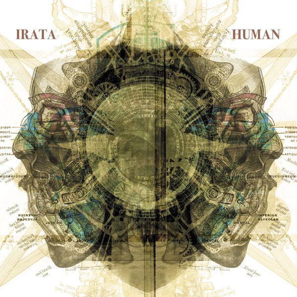 Human - CD