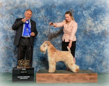 Groupe 1 Juge Mahoney d'Australie/Group 1 Judge Mahoney from Australia
