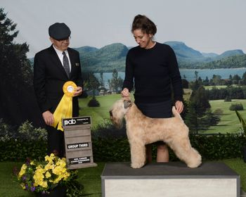 Nouvelle GCH/New GCH
