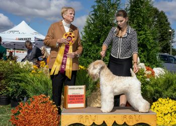 Hatboro Del VAl Specialty Awards of Merit automne 2019/Fall 2019
