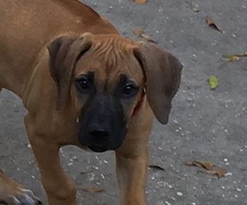 9 weeks
