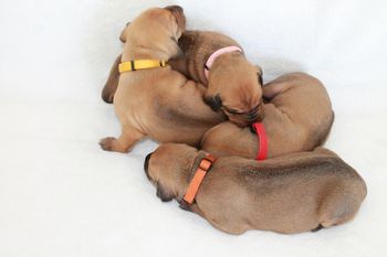 1 week with her sisters
