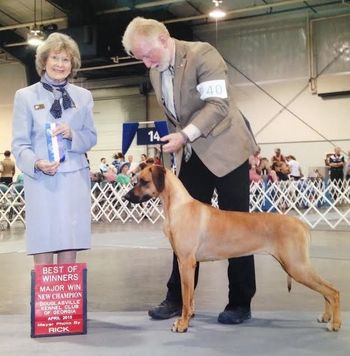 Perry Major Win New Champion - 20 months
