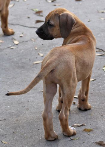 7 weeks
