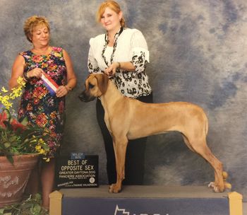 3 Point Major at 8 Months old
