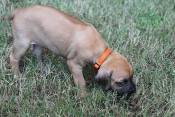 first time outside - 4 weeks
