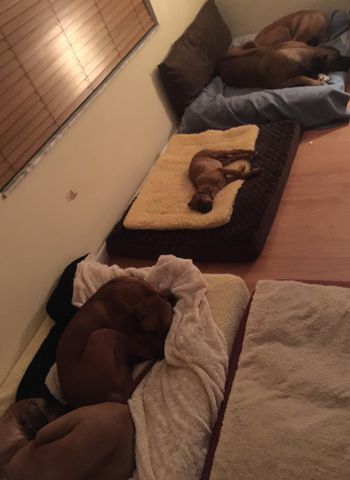 first night without her siblings
