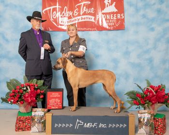 Grand Champion Photo 2/16/19
