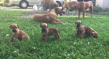 4 weeks old

