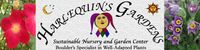Harlequin Garden Holiday Market