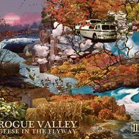 Geese in the Flyway by Rogue Valley