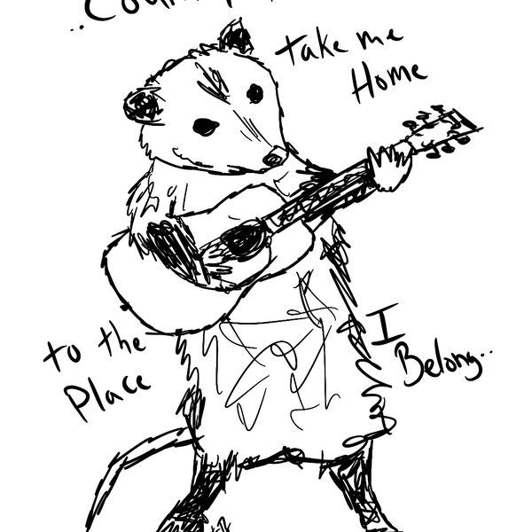 Country Roads Possum Print 