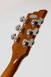Starplayer TV Limited Catalina Green – Guitar Summit Special Edition (NEU am Lager ab 10. November 2026)