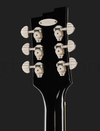 Duesenberg Bros. Landreth Joey's Guitar (am LAGER)