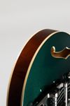 Starplayer TV Limited Catalina Green – Guitar Summit Special Edition (NEU am Lager ab 10. November 2026)