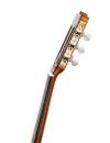 José Ramirez – Guitarra del Tiempo - Eine Hommage an über 140 Jahre spanische Gitarrenbaugeschichte