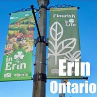Erin Street Festival