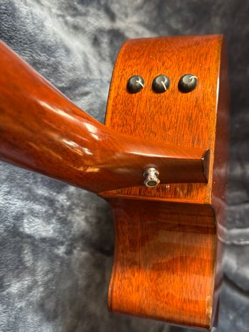 Sides are mahogany.  Strap lock professionally added.
