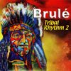 Tribal Rhythm 2 - CD