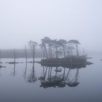  Finding Home by Joe Roper